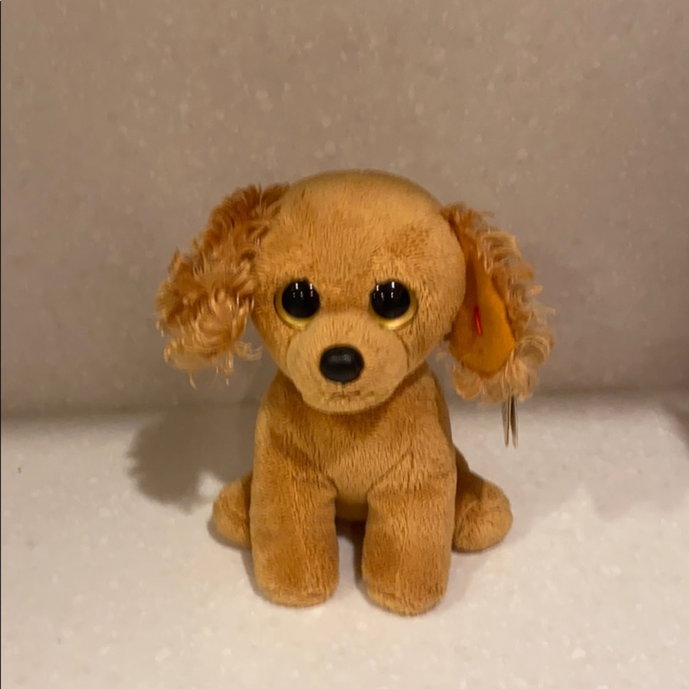 Meet your Posher, Jean